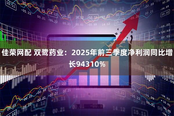 佳荣网配 双鹭药业：2025年前三季度净利润同比增长94310%