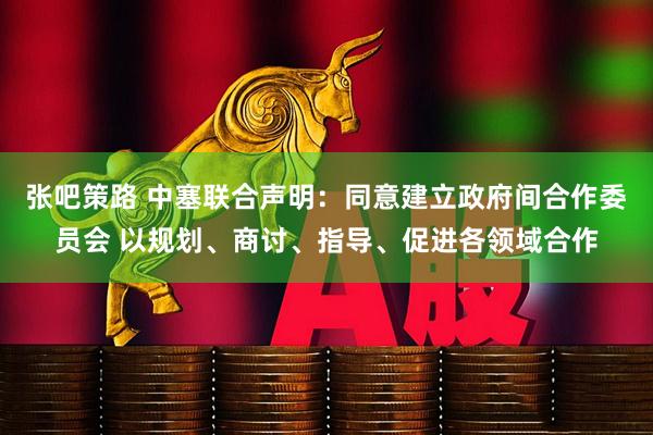 张吧策路 中塞联合声明：同意建立政府间合作委员会 以规划、商讨、指导、促进各领域合作